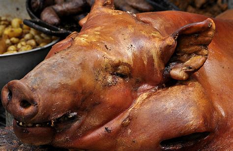 Head Of Roasted Pig Photo