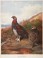 Lot 88 - Millais (John Guille). The Natural History of