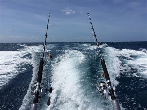 Cairns Reef Fishing Charter Experience Cairns Holiday Specialists
