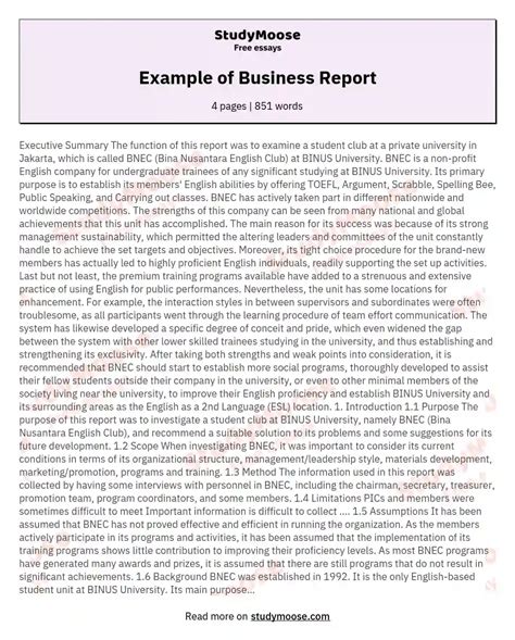 Example Of Business Report Free Essay Sample