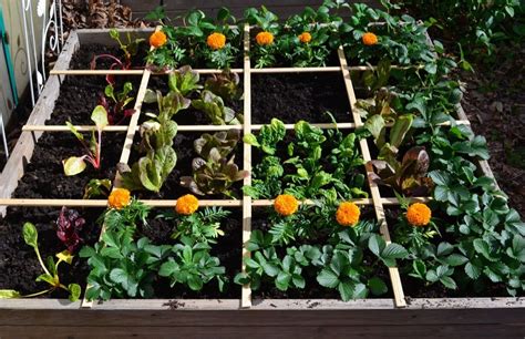 Square Foot Gardening Is A Space Efficient Way To Grow Vegetables