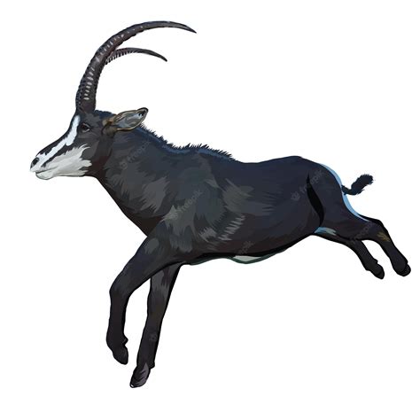 Premium Vector Sable Antelope White Background Vector