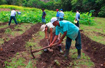 Agricultura familiar Unión Nacional de Agricultores y Ganaderos de Nicaragua