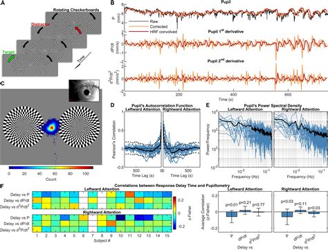 Frontiers Brain Networks Underlying Eyes Pupil Dynamics