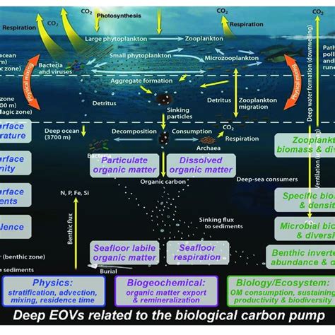 Global Ocean Observing System Goos Essential Ocean Variables Eovs