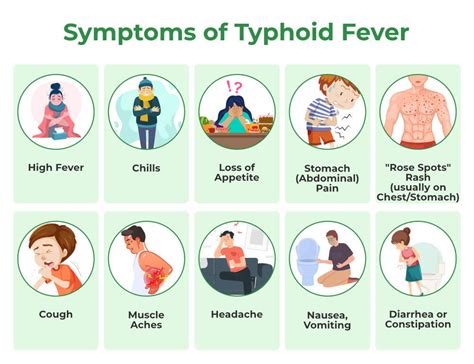 Understanding Typhoid Fever Causes Symptoms Prevention And Treatment