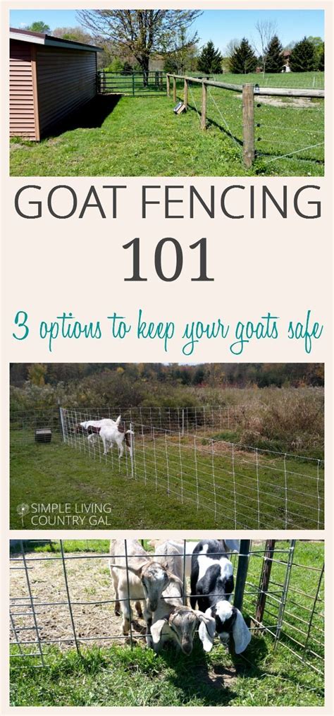 My Top 3 Picks For Goat Fencing That Is Secure And Safe Goat Fence