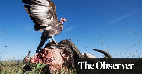 What Has Nature Ever Done For Us By Tony Juniper Review Science