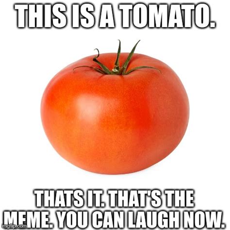 This Is A Tomato Imgflip