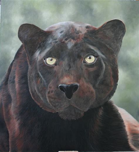 Clive Meredith Wildlife Art Black Leopard Painting Progression