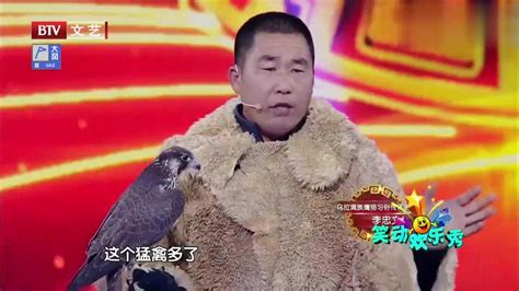 鹰隼区别在哪？国家级迅鹰人揭开真相，引得全场震撼_腾讯视频