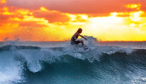 Hobby Leisure Man Ocean Person Sea Sport Surfboard Surfer