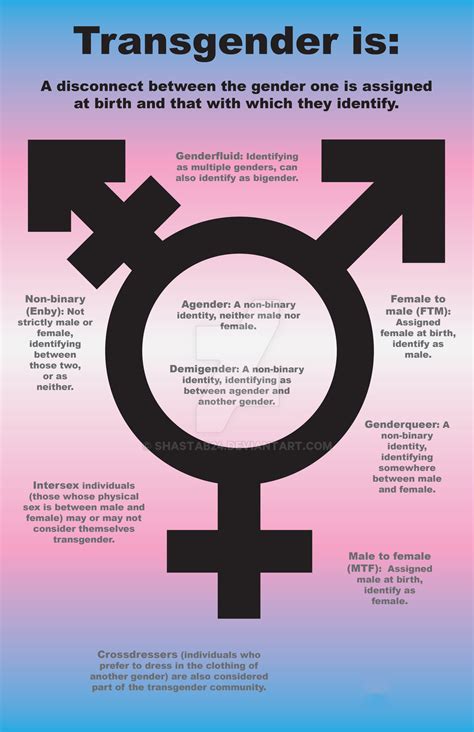 Transgender Identities Poster By Shastab24 On Deviantart