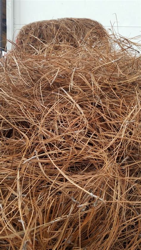 Long Leaf Pine Straw Bales For Sale In Wilson Nc Offerup