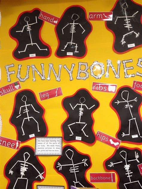 Funnybones Display Bones Funny Afterschool Activities People Who