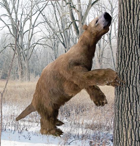 Prehistoric Giant Bear