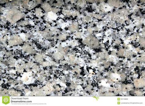 Jilin white new g439 granite slabs is a nice grey color granite with black dots, because its dots like flower on the surface, people also call it white flower. Granite Gray White Black Stone Texture Closeup Royalty ...
