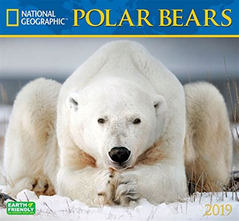Download National Geographic Polar Bears 2019 Wall Calendar By Pdf Free
