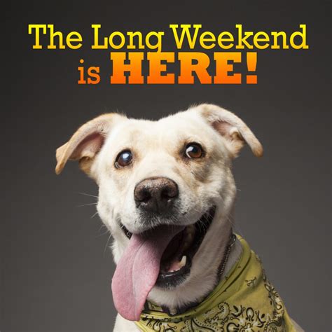 Watch long weekend full movie bart's chance encounter with the enigmatic vienna leads to a whirlwind weekend together. What is your plans this long weekend?