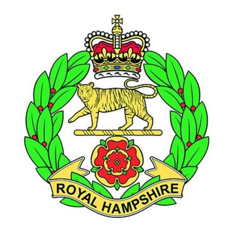 Current Militaria 1991 Now British Army Royal Hampshire Regiment 1881
