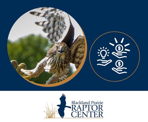 Blackland Prairie Raptor Center Plans For Fundraising Success — Project