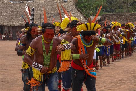 for the kayapó a long battle to save their amazon homeland yale e360