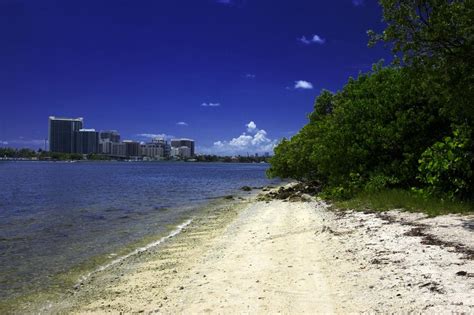 Maybe you would like to learn more about one of these? Oleta River State Park - Swim Guide