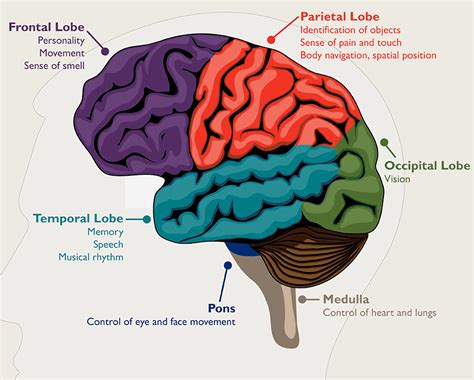 Brain Tumor Causes And The Best Treatment Dr Raos Hospital Dr Rao