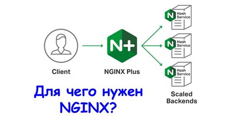Для чего нужен NGINX YouTube