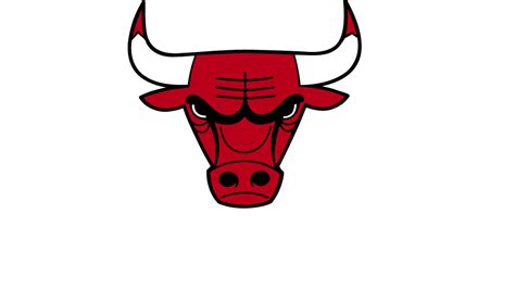 Logo Chicago Bulls Bandana