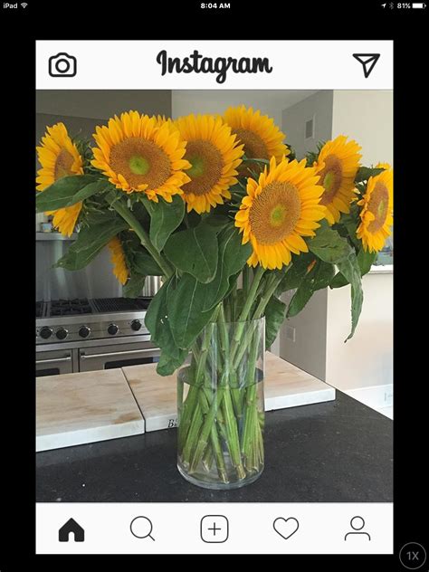 Starting and operating a profitable floral shop isn't all about smelling the roses. Pin by Monica Chapman on Plants and Bouquets | Big vases ...