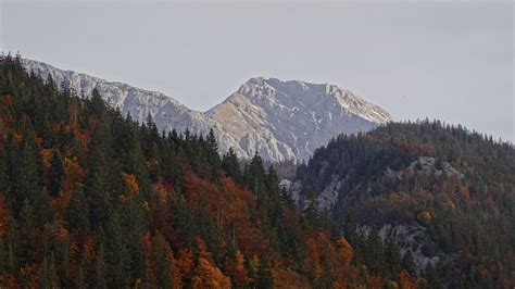 Landscape View Of Mountains And Colorful Autumn Leafed Trees Covered