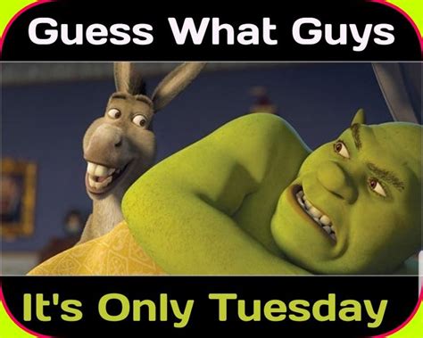 Funny Tuesday Morning Quotes Shrek In 2020 Its Only Tuesday Morning