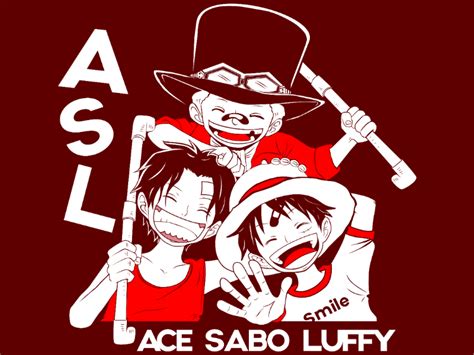 Ace Smile One Piece Sự Tiện Lợi Đến Khó Tin Với Siêu Phẩm Tất Cả