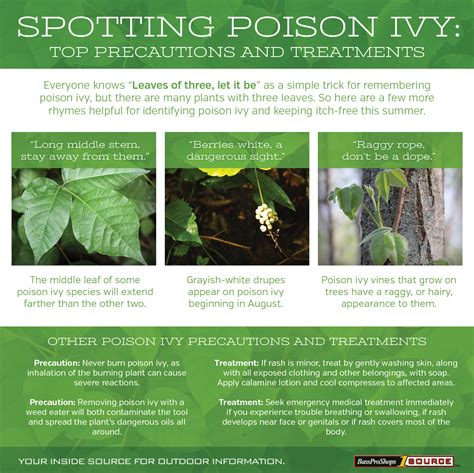 12 Little Known Facts About Poison Ivy Infographic Bass Pro Shops