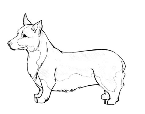 Your children will love these playful line drawings of their favorite breeds chewing on a bone running through the park or getting a bath. Corgi coloring pages download and print for free