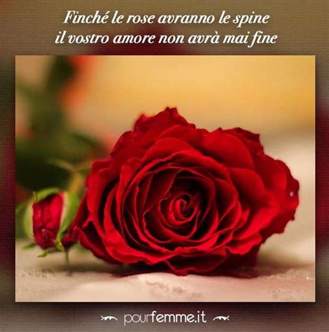 Download gratuito spiritose divertente auguri anniversario matrimonio. Frasi anniversario matrimonio (Foto 11/40) | Matrimonio