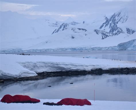 Camping In Antarctica Could This Be The Ultimate Antarctic Adventure