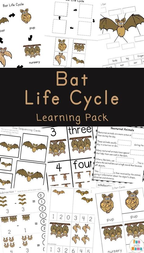 Bat Life Cycle Facts For Kids Bat Activities For Kids Life Cycles