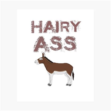 Hairy Ass Hairy Arse Photographic Print For Sale By Rbgirlie