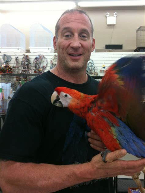 Todd Marcus Birds Exotic 97 Photos And 16 Reviews Pet Stores 1060 S