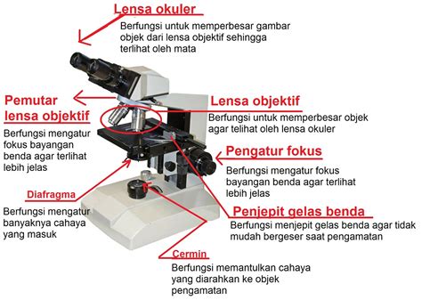 Sebuah Mikroskop Menggunakan Lensa Objektif Dan Lensa Okuler