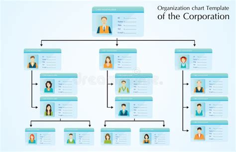 Organizational Chart Template Of The Corporation Stock Vector