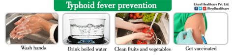 prevention typhoid fever epidemic in chicago