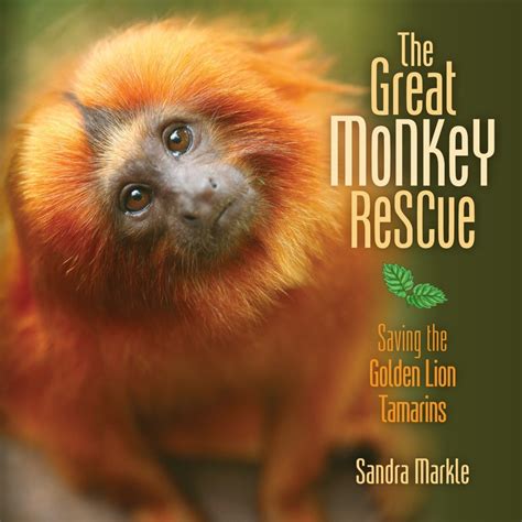 Write On Sandra Markle The Real Deal Writing Nonfiction For Children