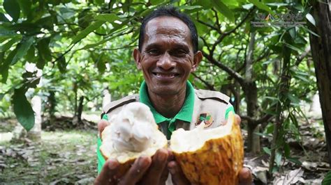 Transforming The Cocoa Sector In Indonesia Through Value Addition To