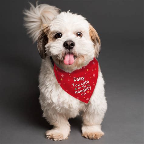 Personalised Too Cute For The Naughty List Dog Bandana By Blackdown