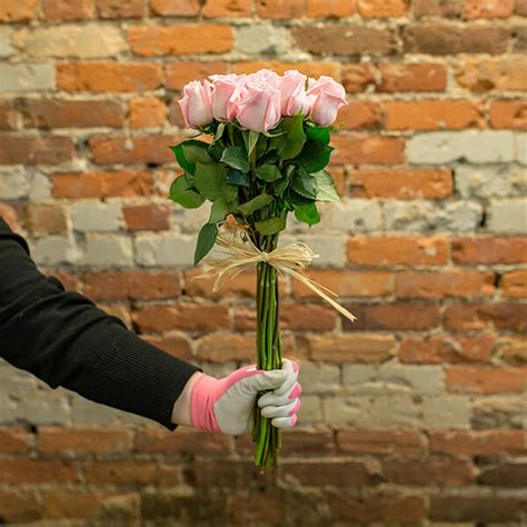 Fresh Cut Pink Roses Jong Young Flower Market