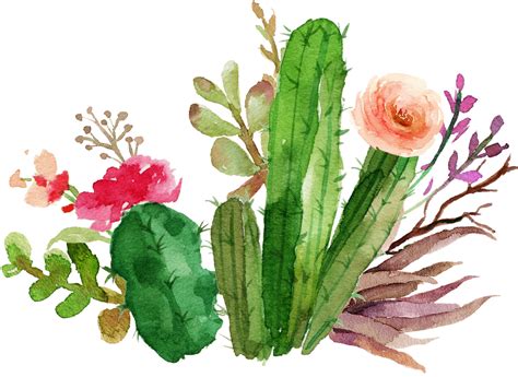 Download Png Flower Design Watercolor Cactus Clipart Transparent