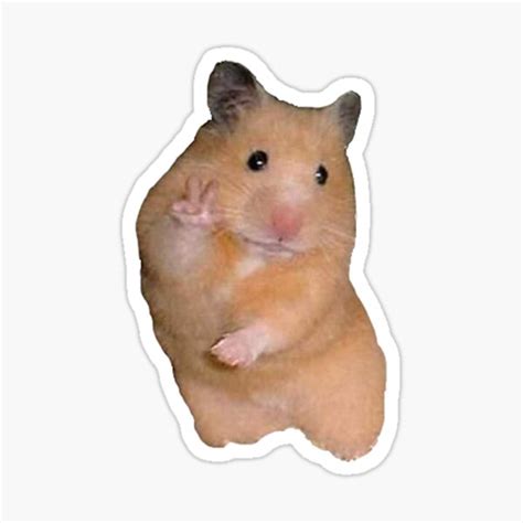 Hamster Peace Sign Stickers Redbubble